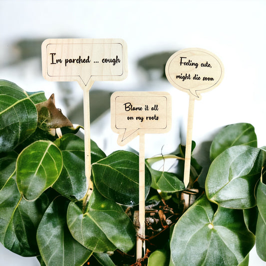 6 pack of Plant Stakes, Quotes or Plants, Funny Plant Signs, Succulent Signs, Succulent Quotes, Plant Tags, Snark Plant Tags